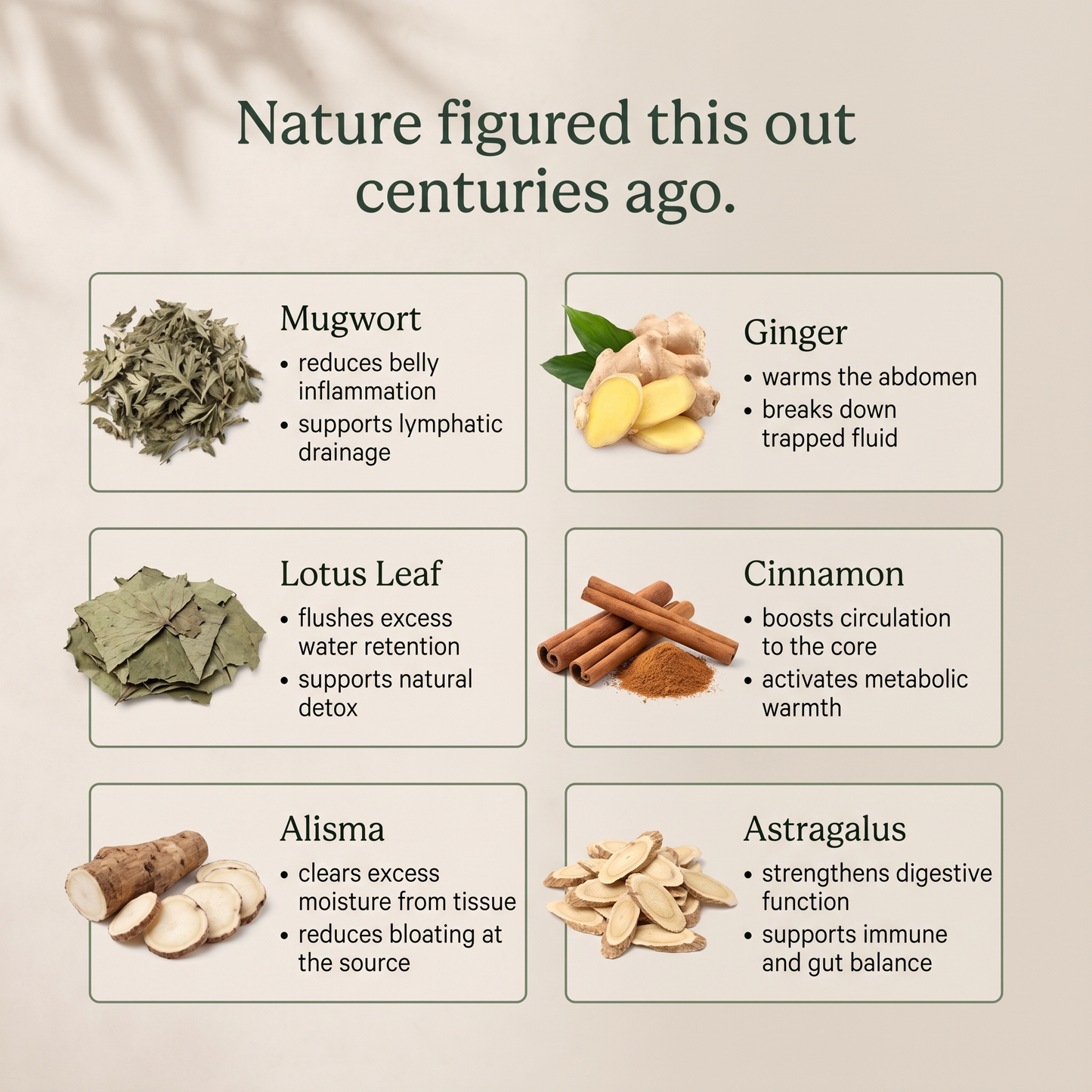 Herbal Balance Patches
